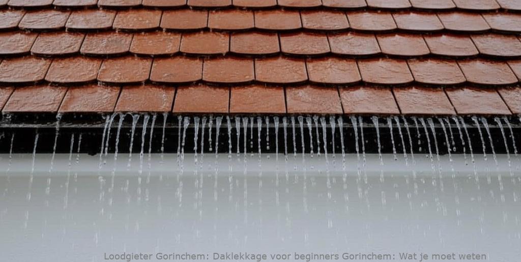 Daklekkage Voor Beginners Gorinchem