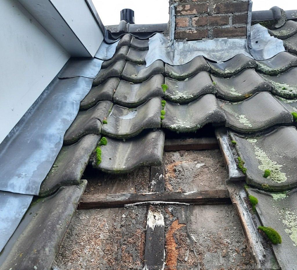 Fouten Zelf Repareren Daklekkage Gorinchem