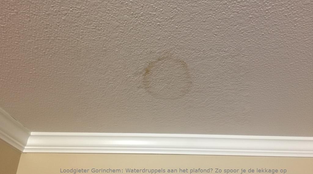 Lekkage Plafond Gorinchem