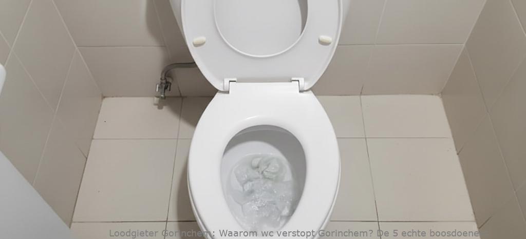 Waarom Wc Verstopt Gorinchem