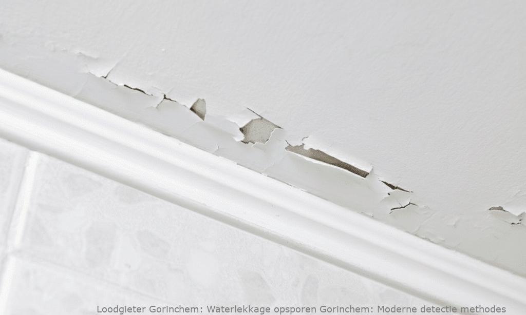 Waterlekkage Opsporen Gorinchem
