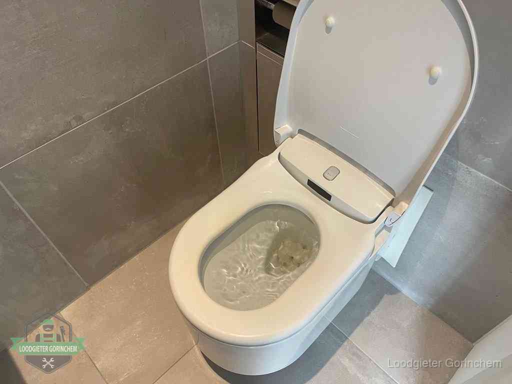 Wc Verstopt In Gorinchem